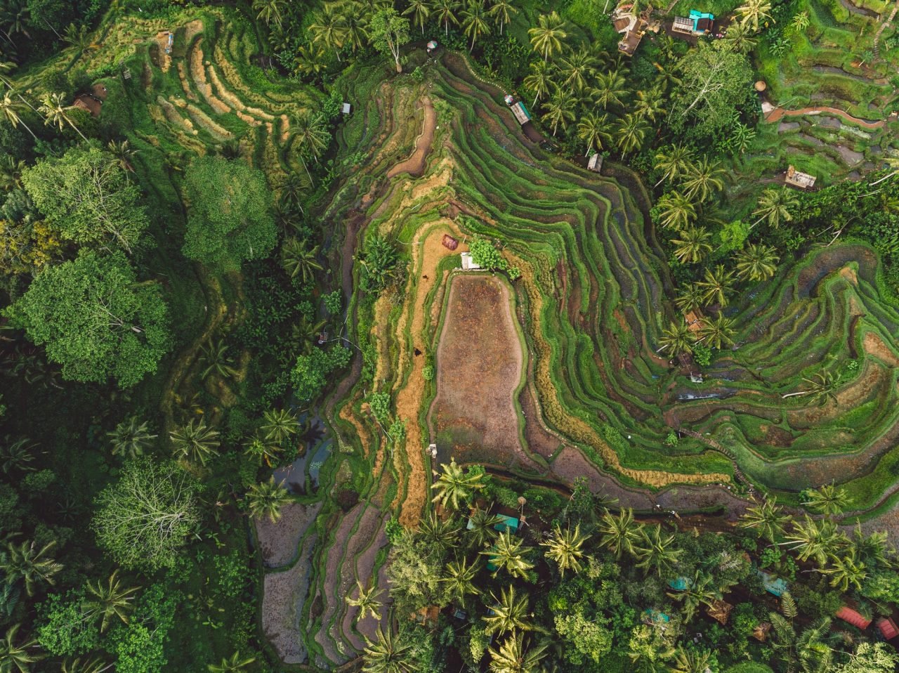 Untamed Beauty of Malaysia