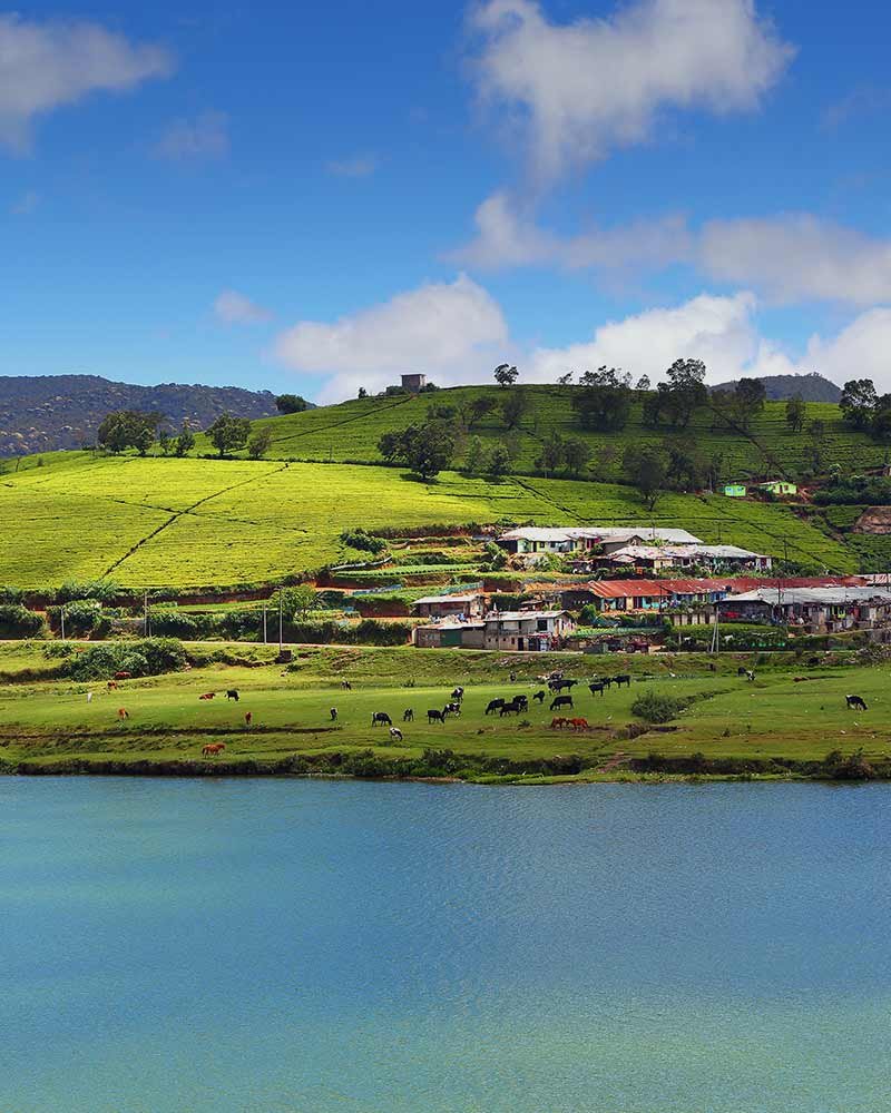 Wonders of Sri Lanka